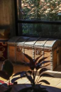 In Gallery & Spa - 30