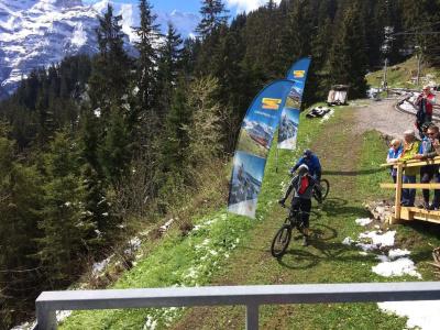 Bellevue-Wengen - Best view in town! - 14