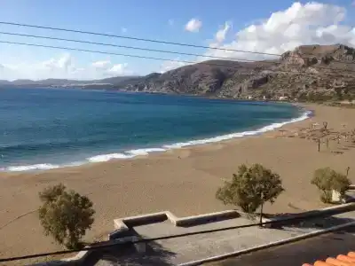 Pal Beach - 116
