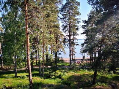 Rantapuisto - 18