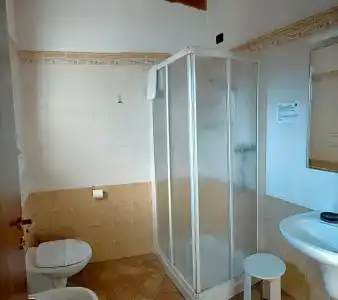 Agli Ulivi - 53