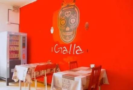 Galla - 13
