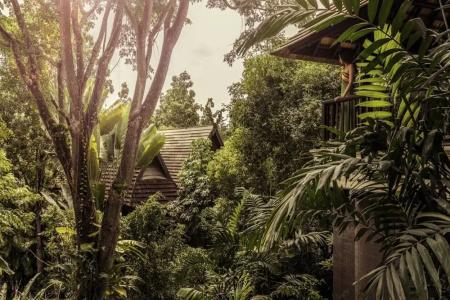 Four Seasons Resort Chiang Mai -Sha Plus - 64