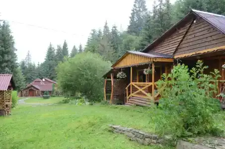 Zarinok - 40