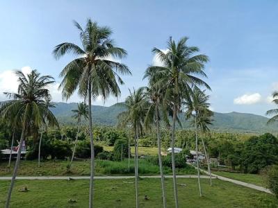 Amarin Samui - Sha Plus Certified - 140
