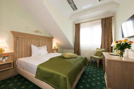 Rebstock - 33