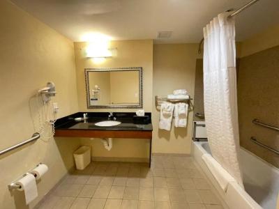 Comfort Suites North - 53
