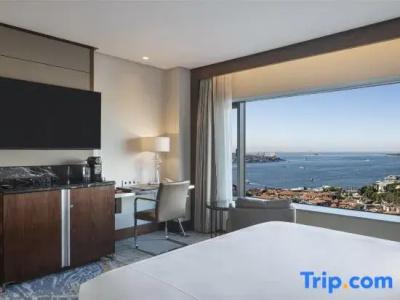 Conrad Istanbul Bosphorus - 71