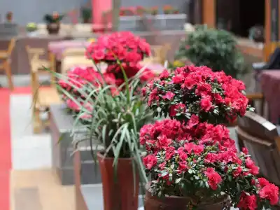 Wenjun Courtyard Chengdu ( Kuanzhai Branch) - 14
