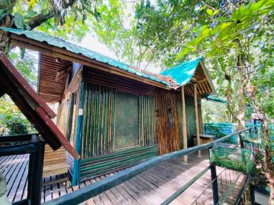 Khao sok tree house resort - 66