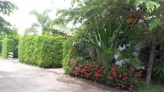 Nadee resort - 24