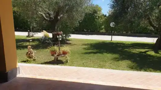 L'Antico Vigneto - 5