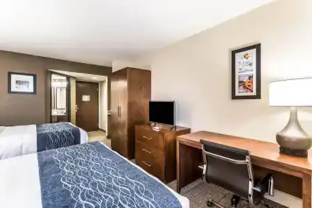 Comfort Inn & Suites Downtown - 6