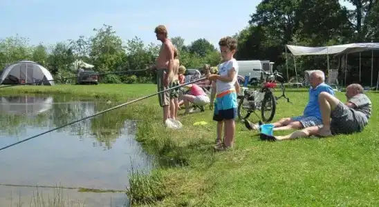 Vakantiepark Witterzomer - 22
