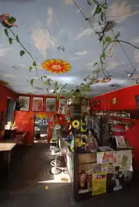 Sunflower Hostel Berlin - 15