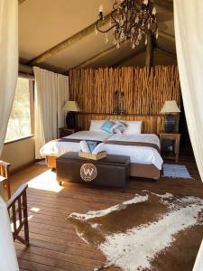Windhoek Self-Catering Game Camp - 16