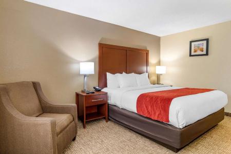Comfort Inn & Suites North I-75 - 31