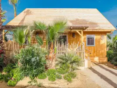 Toison D'or - 10