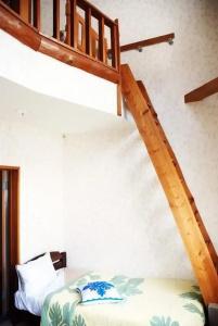 Pension Fryingpan - 32