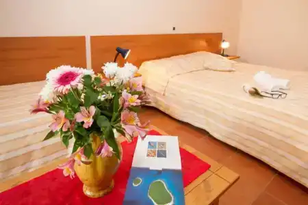 Villa Sveta Eufemija - Bed and breakfast - 19