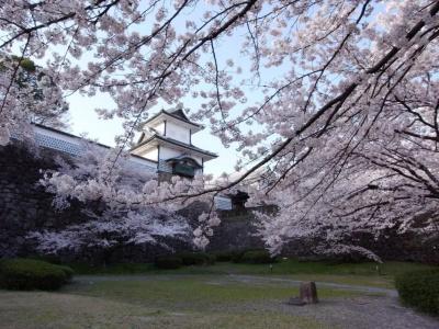 Ryokan Yamamuro - 2