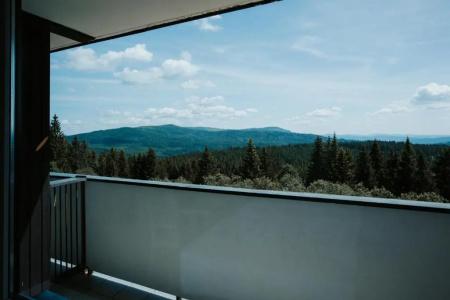Orea Horizont ŠUmava - 36