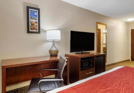 Comfort Inn & Suites North I-75 - 30