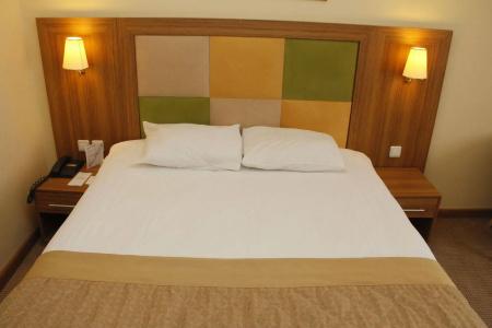 Palan Ski & Convention Resort - 5