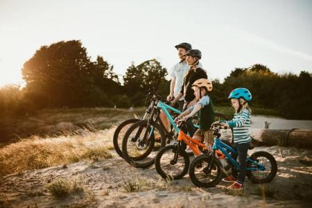 Camping La Forêt - 17