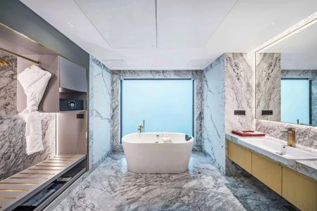 Radisson Blu Grt, Chennai - 134