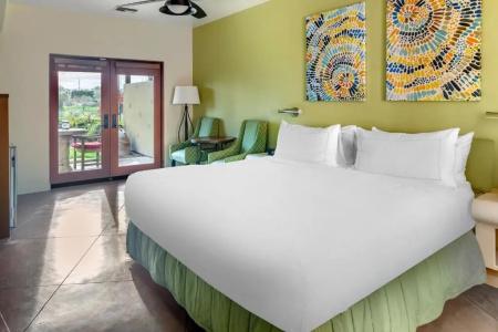 Hilton Grand Vacations Club - 105