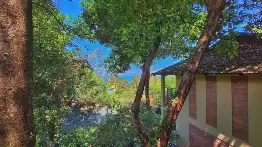 Ancarine Beach Resort - 57