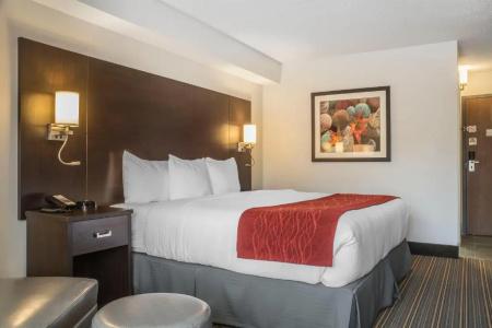 Quality Inn - 52