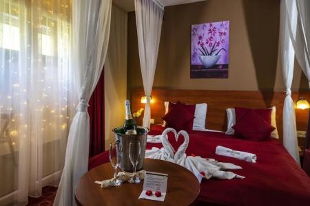 Patak Park - Adults Only - 16