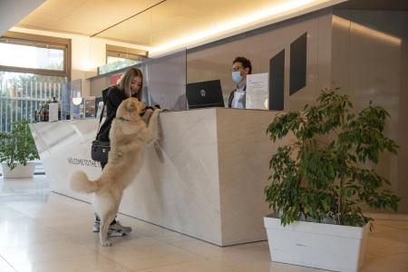 Pestana Berlin Tiergarten - 43