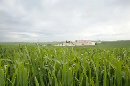 Tenuta Danesi - 12