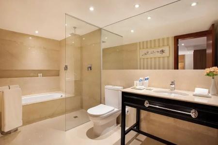 Windsor Plaza Brasília - 55