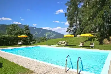 Pension Pichlerhof - 11
