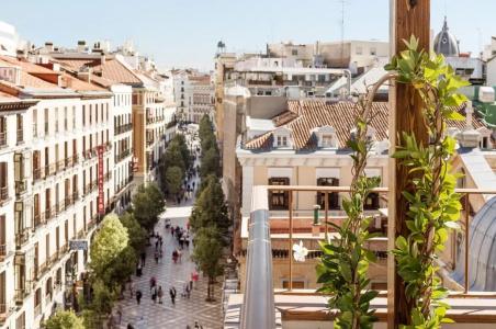 Francisco I Boutique - 10