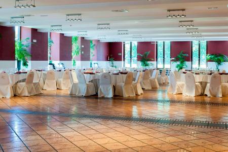 Ac Palacio De Santa Ana By Marriott - 9