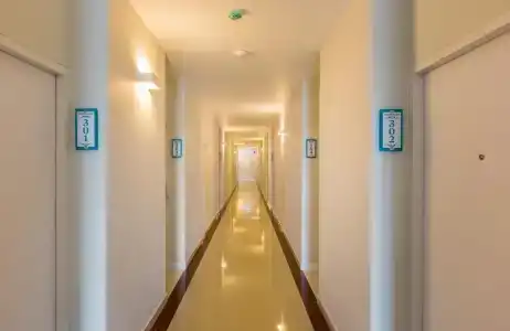 Evergreen Suite - 15