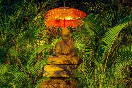 La Palmeraie D'angkor - 180
