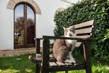 Coralia Country House - 113