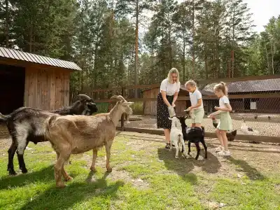Балчуг - 20