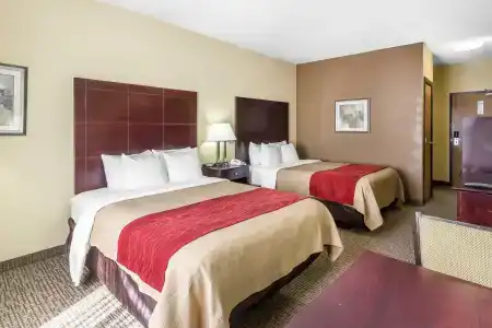 Comfort Inn & Suites - 34