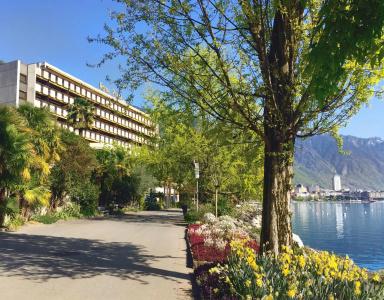 Royal Plaza Montreux - 41
