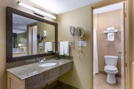 Best Western Royal Sun Inn & Suites - 96