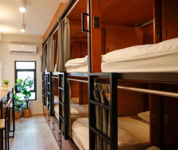 Tropical Summer Hostel - 3