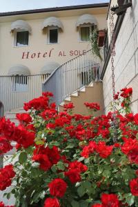 Al Sole Bardolino - 17
