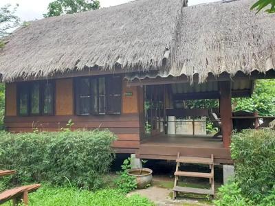 Chiang Dao Hut - 128